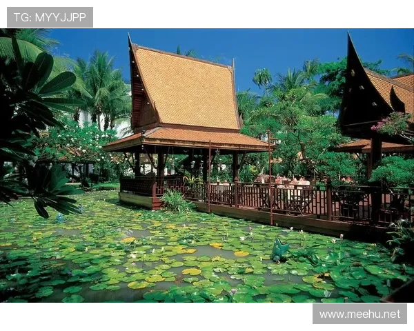 田亮家里那泳池面积怕是比五星酒店还大吧！